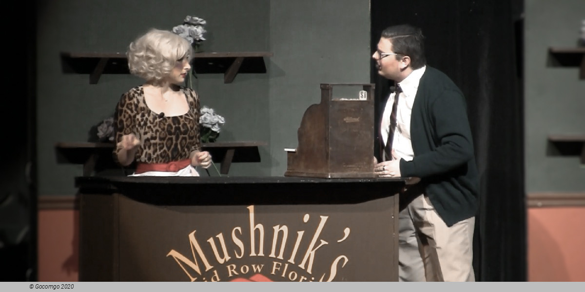 Scene 5 from the musical "Little Shop of Horrors"