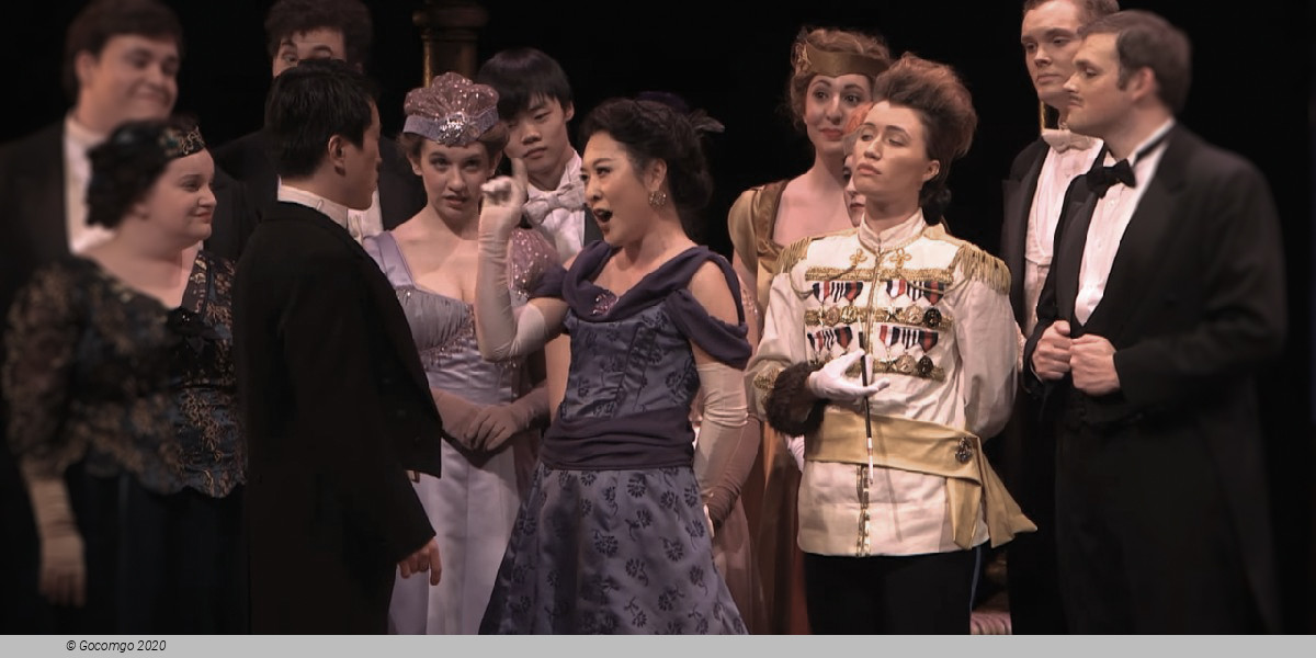 Die Fledermaus, photo 8