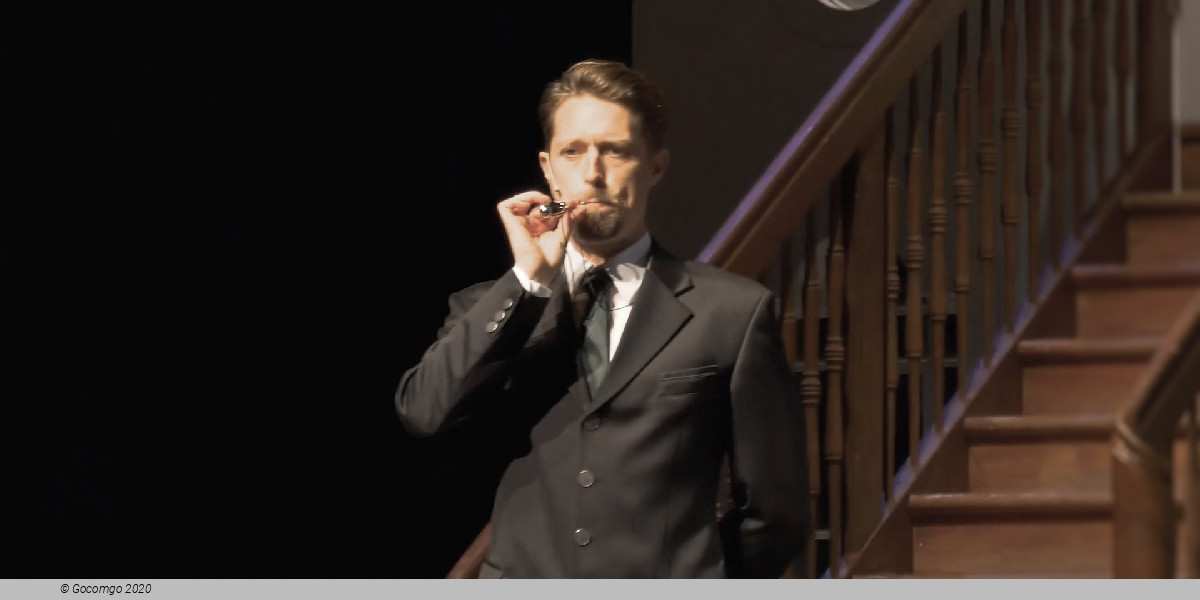 Scene 2 from the musical "The Sound of Music", photo 3