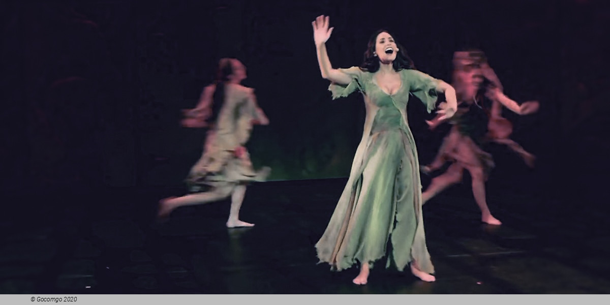 Scene 3 from the musical "Notre Dame de Paris"