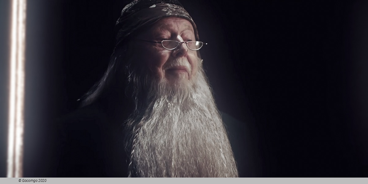 Scene 5 from the show "Harry Potter and the Cursed Child", photo 5