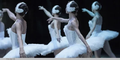 Swan Lake